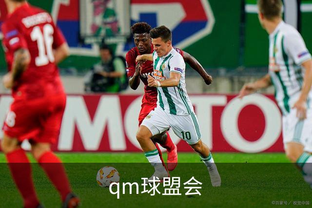 qm球盟会公司介绍图片